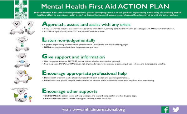 Mental Health First Aide Action Plan