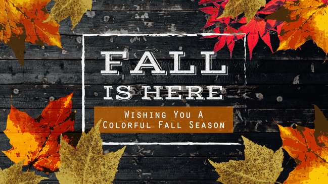 Rise Vision Digital Signage Content Example Fall 02 Rise Vision Digital Signage Content Example Fall 02