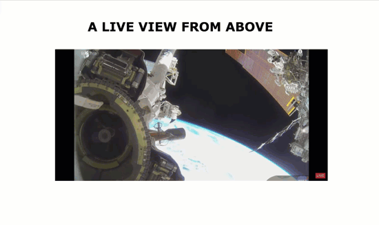 Live View Example
