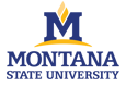 Montana State University