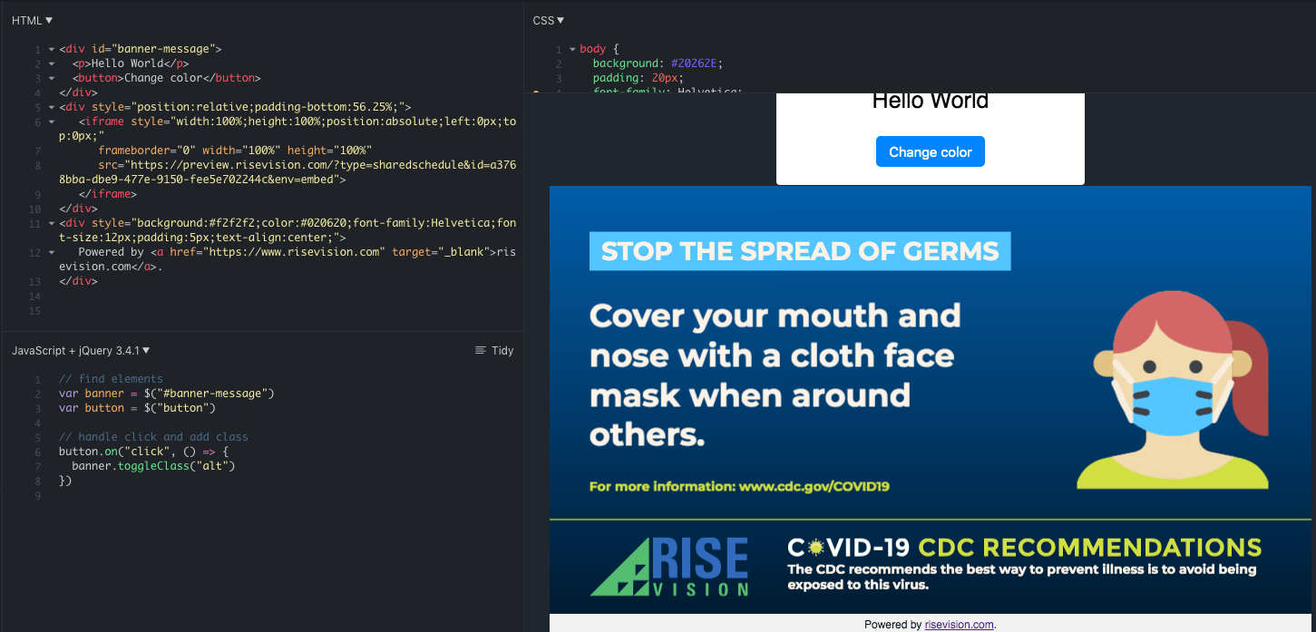 Rise Vision html code