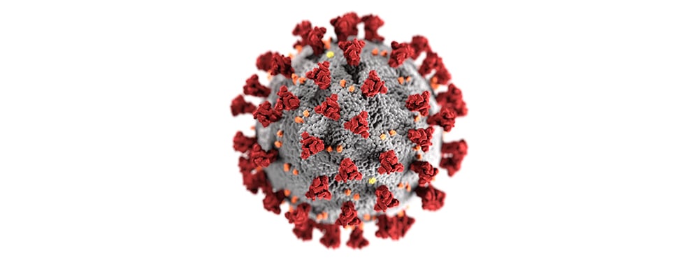 coronavirus