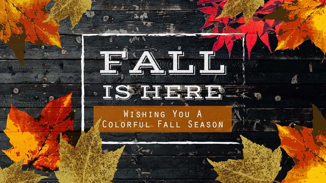 fall is here digital signage template