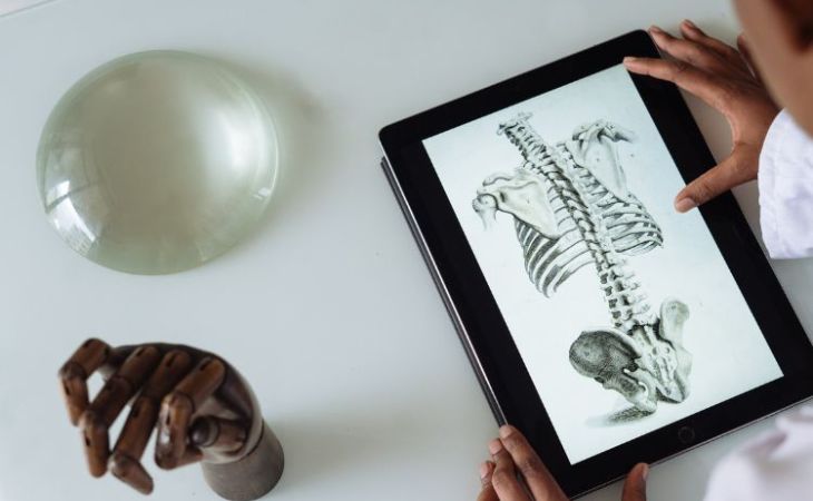 A doctor using a tablet to look at a drawing of the human skeleton.