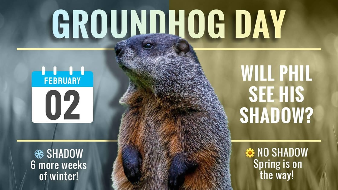 holiday-groundhog-day-digital-signage-template