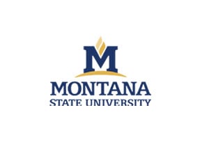 Montana State University