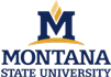 Montana State University Logo