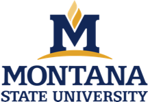 montana-state-university-logo