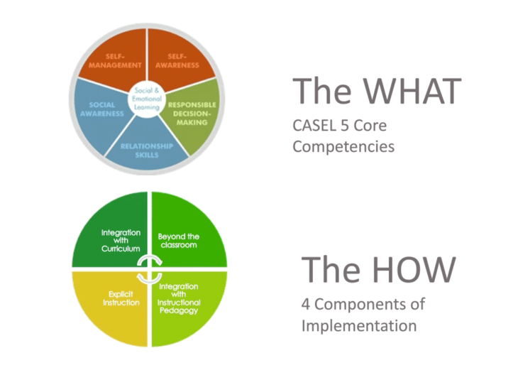 the what and how of sel competencies