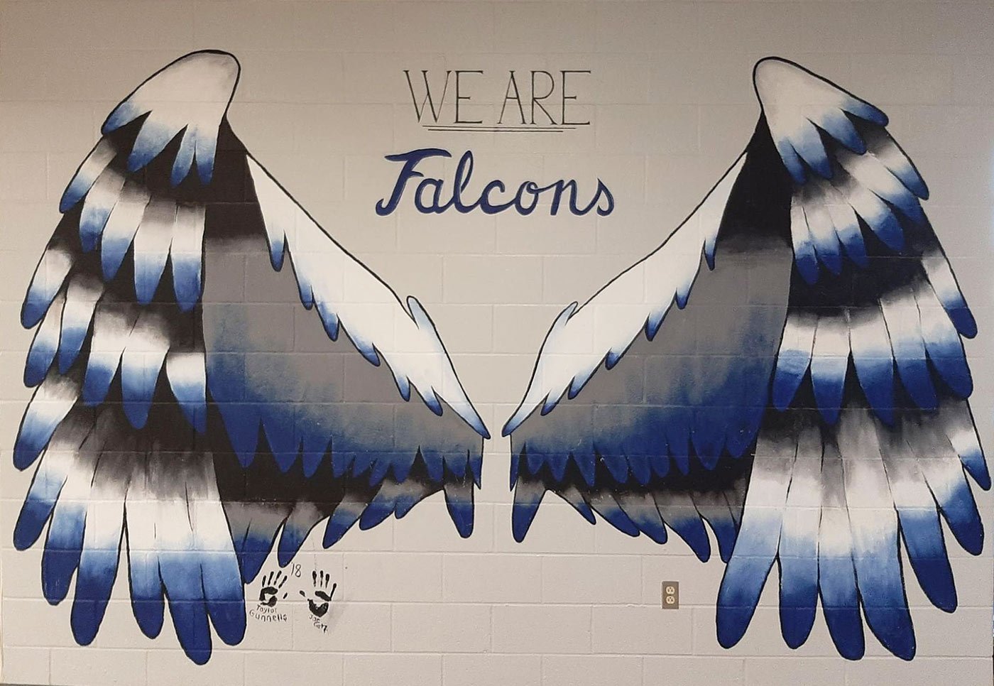 we are the falcons