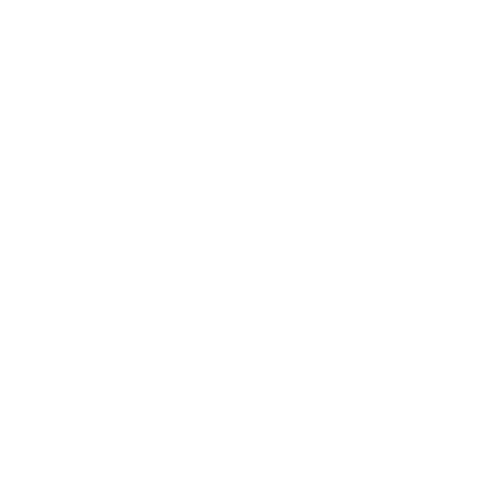 single screen icon