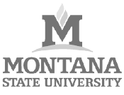 digital signage software