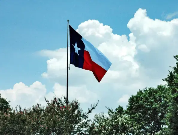 Texas state flag