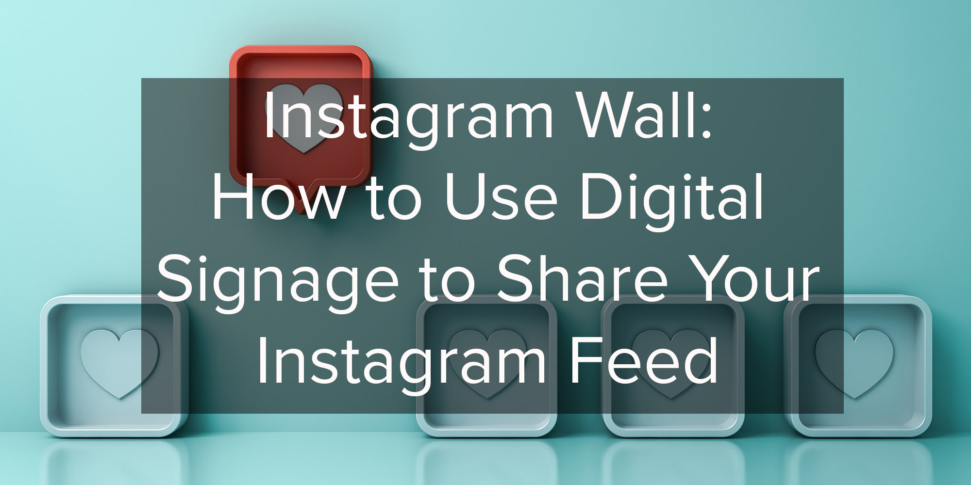 How to Use Digital Signage to Share Your Instagram Feed