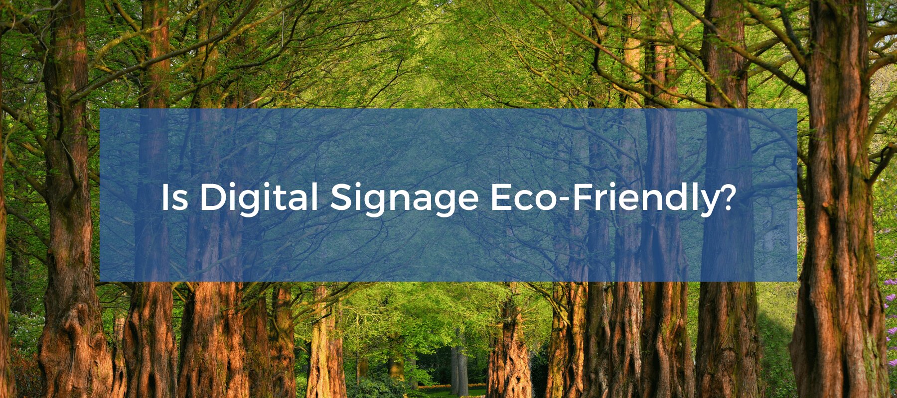Digital signage eco-friendliness.