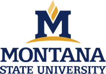 Montana State University Logo