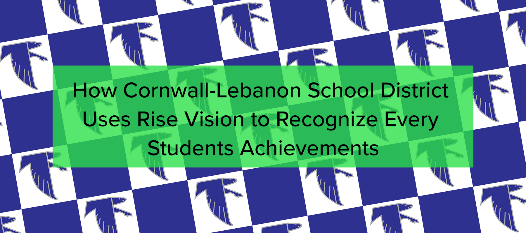 rise vision cornwall lebanon case study