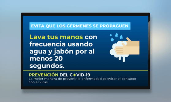 En Español - Consejo COVID-19