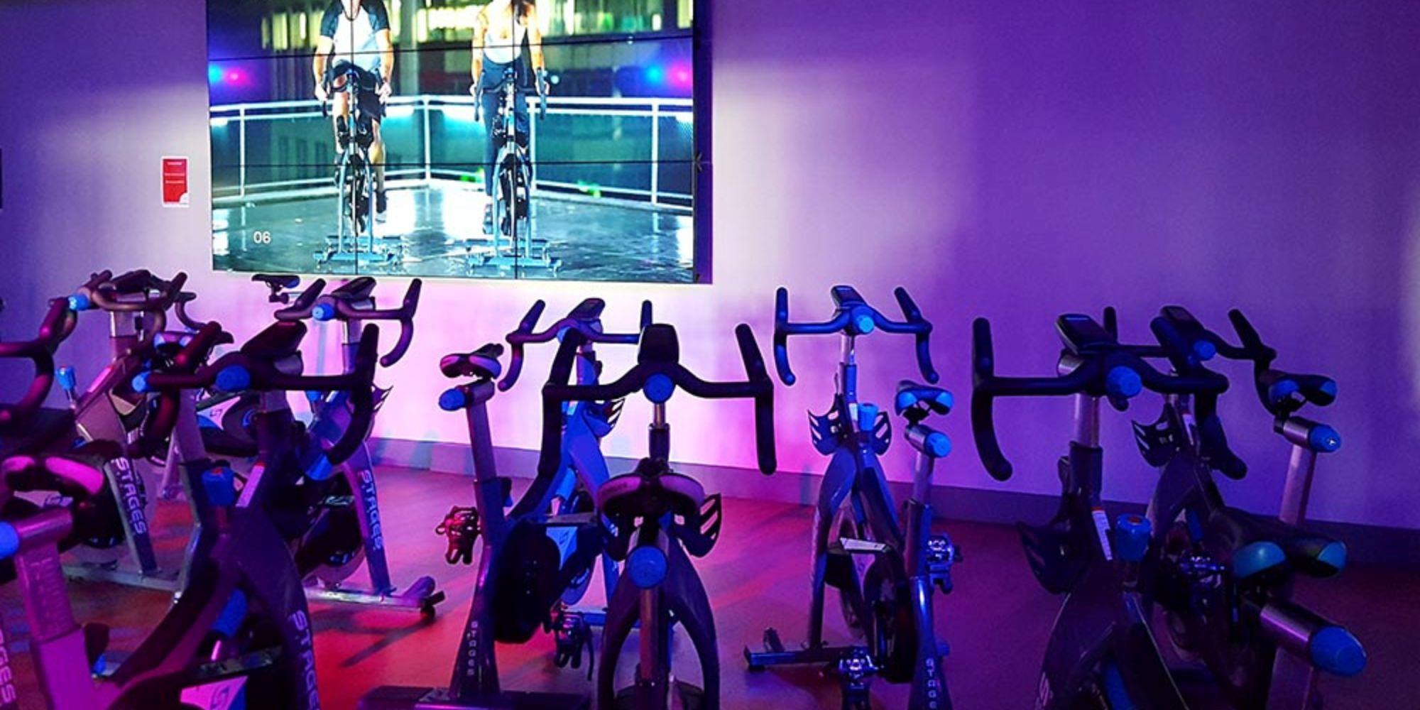 An empty gym full of exercise bikes.