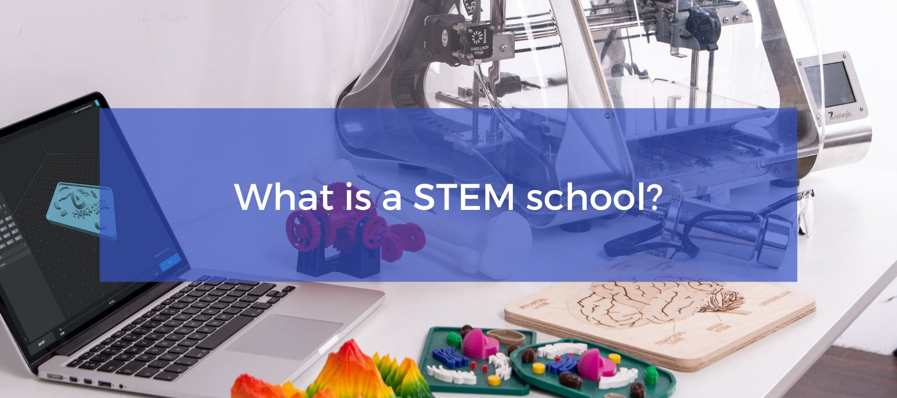 What is a STEM school?